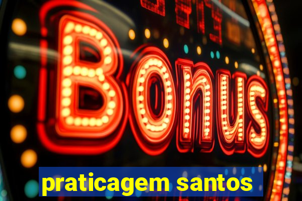 praticagem santos